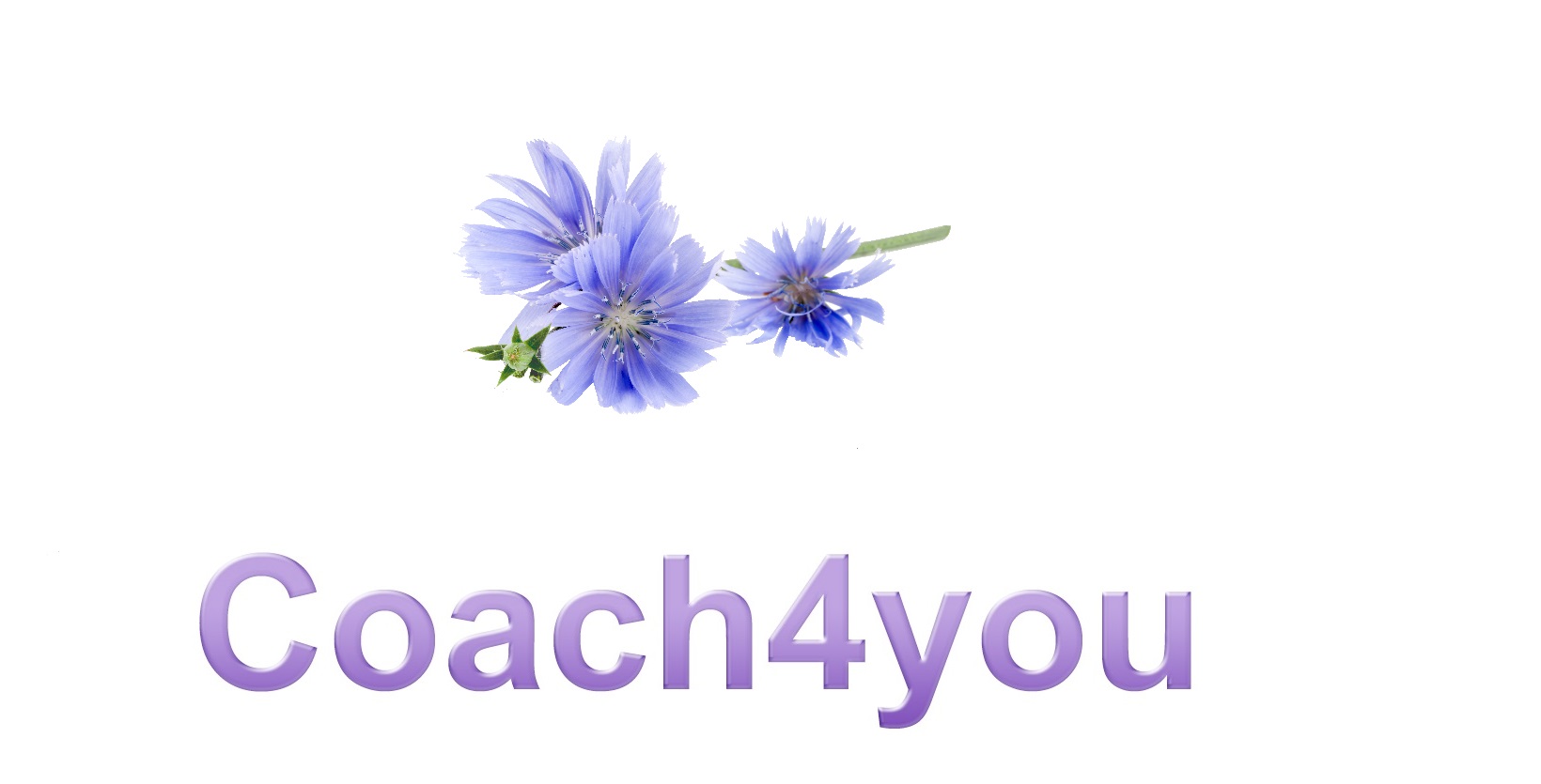 Coach4you logo website totaal