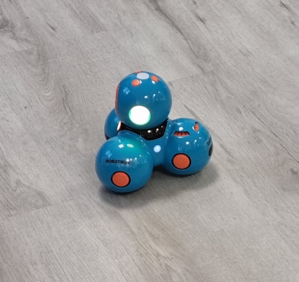 Robotwise Dash