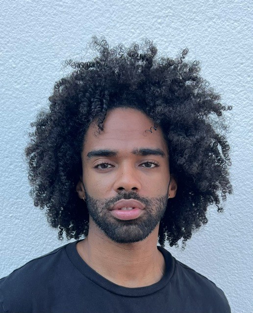 Wilson Gomes